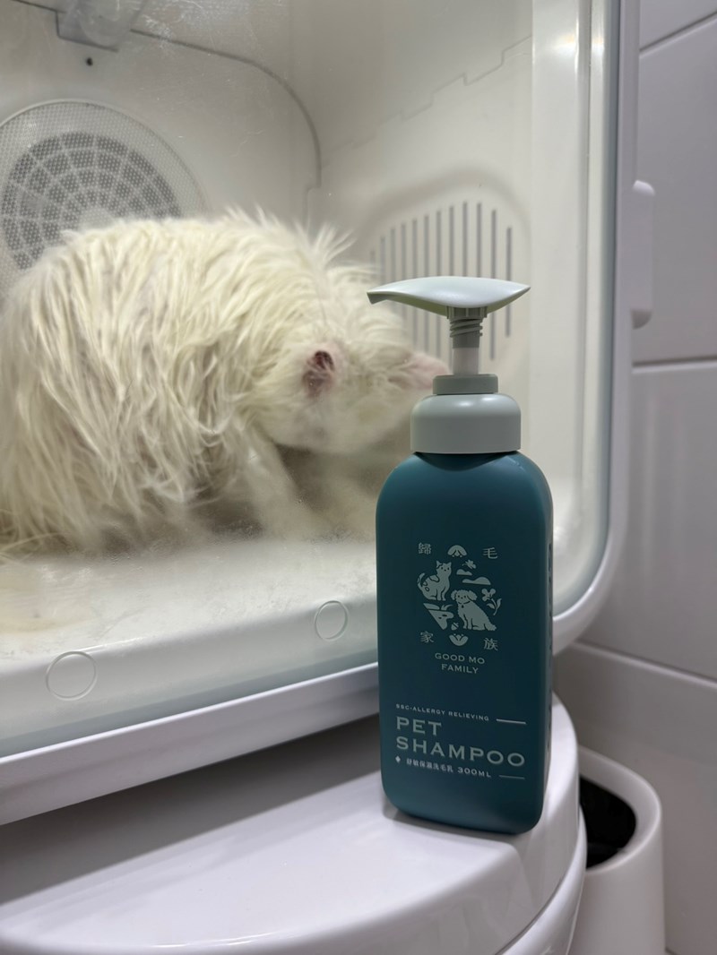 女人知己試用大隊,口碑行銷,部落客行銷,Goodmofamily歸毛家族 寵物肌膚救星組,歸毛家族 寵物肌膚救星,舒敏保濕洗毛乳,護膚噴液,精萃營養霜,博士30年生技專業,給足皮膚營養保護力,無抗生素 無類固醇,神經醯胺,19種綜合胺基酸,榮獲SNQ國家認證,上萬毛爸媽見證,3週幫助皮膚健康,NO.1寵物肌膚口碑霸主,寵物第一護膚領導品牌